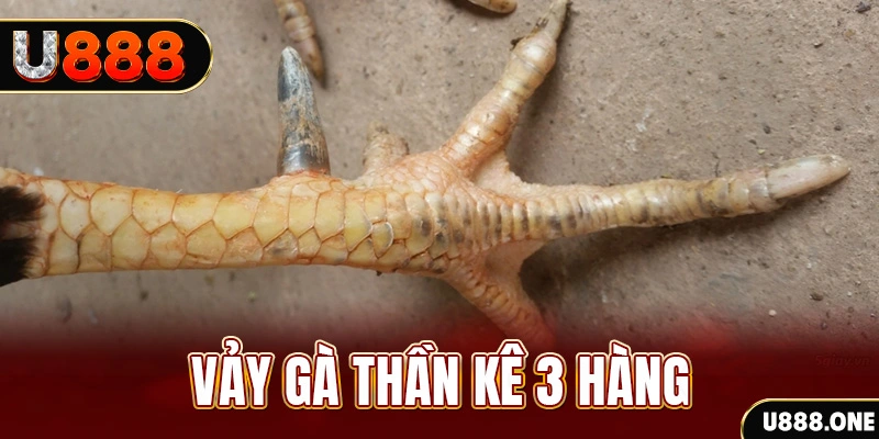 bet789 nổ hũ đổi thưởng . ai