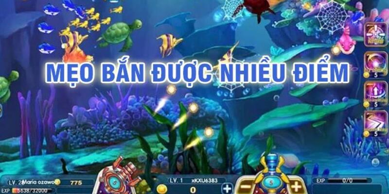 bet789 đá gà