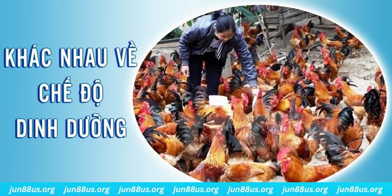 bet789 xổ số thứ sáu hàng tuần
