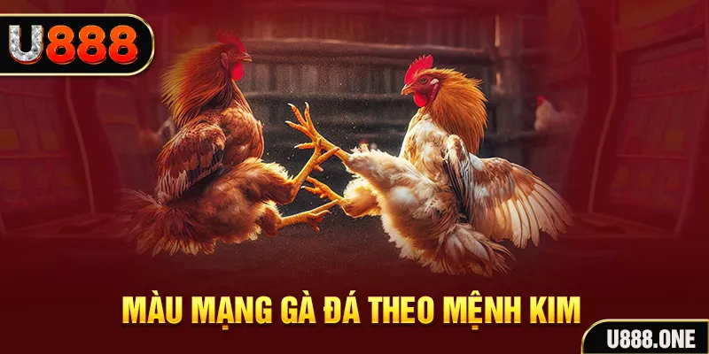 bet789 gà chọi tiêu phong