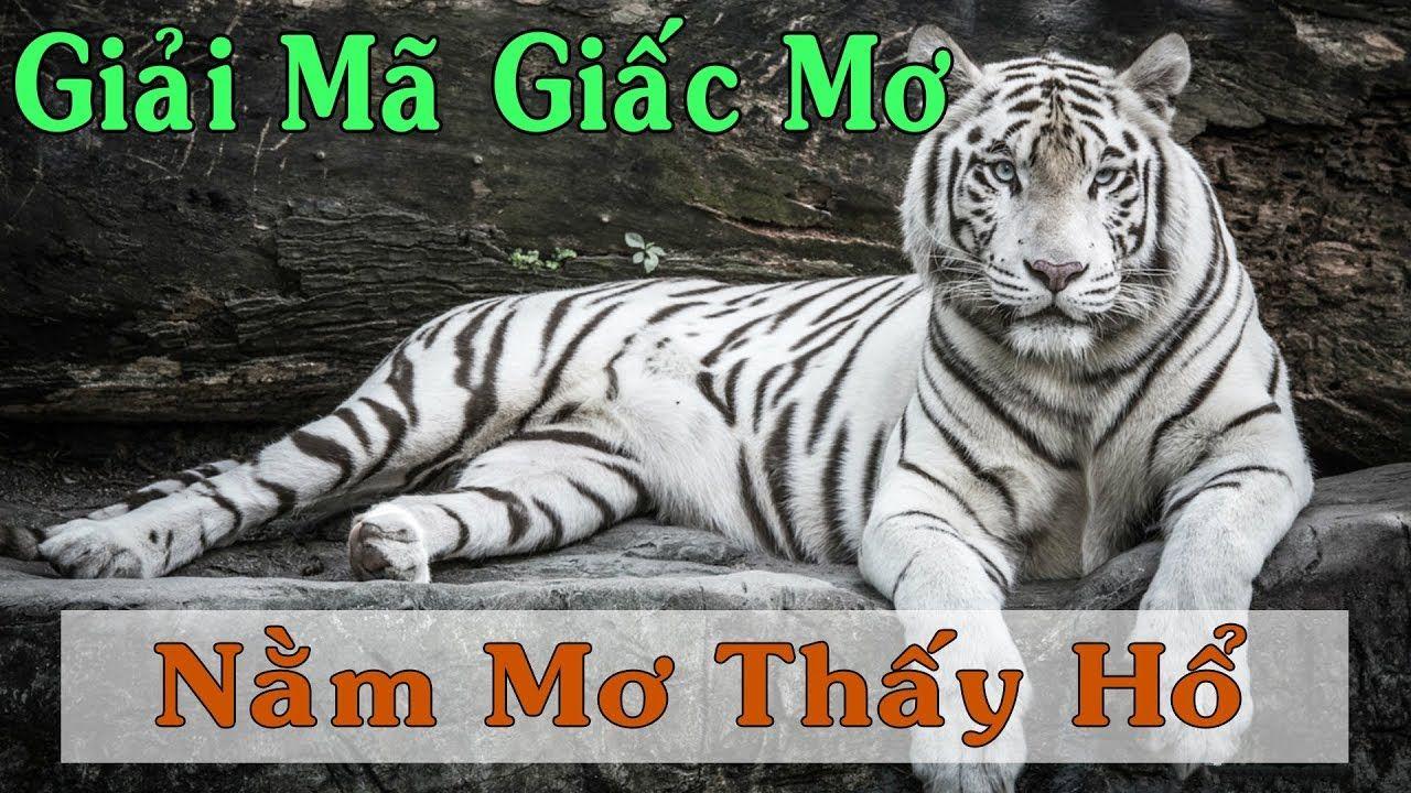 bet789 xổ số miền trung