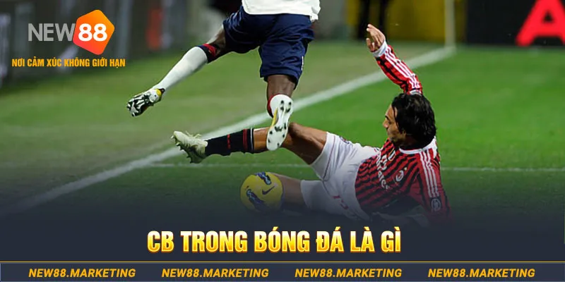 bet789 gà chọi c1 gold city