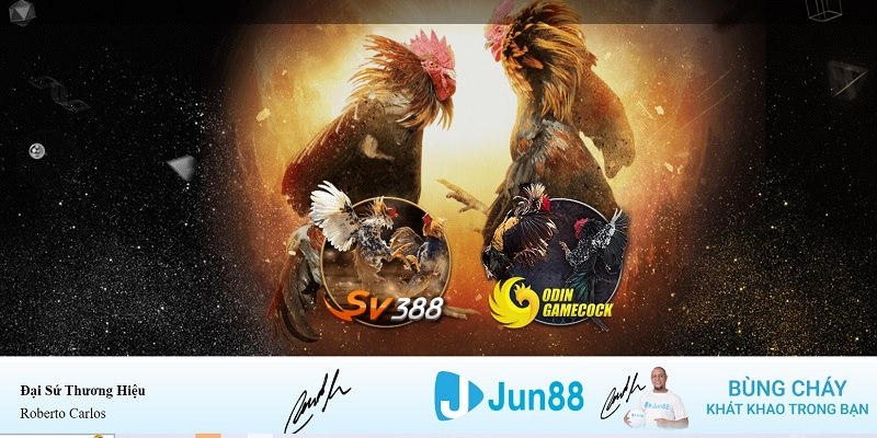 bet789 xổ số miền nam hàng tuần