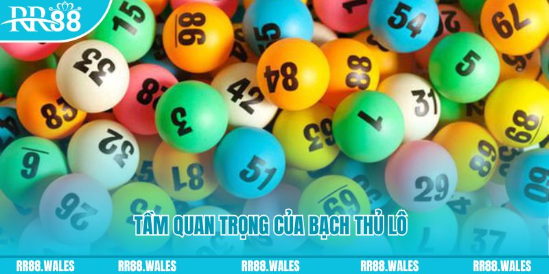 bet789 Ws168 Đá Gà