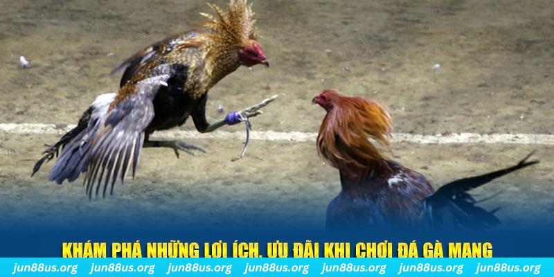 bet789 Tài Xỉu 2