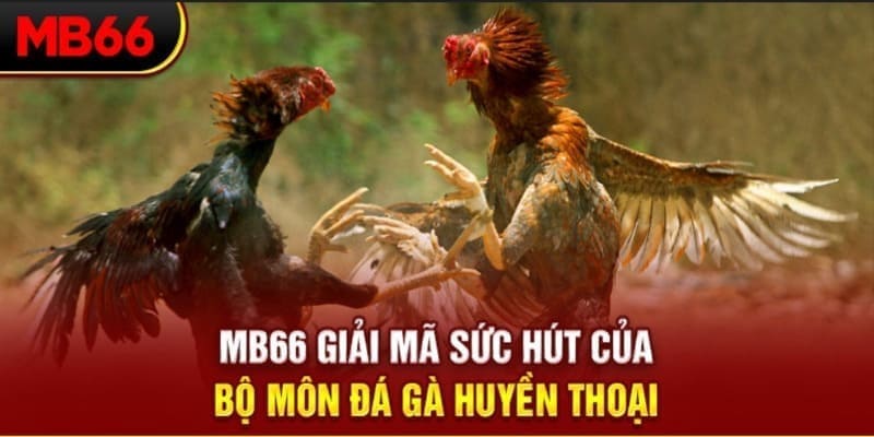 bet789 long bảo trong baccarat là gì