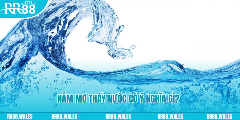 bet789 đá gà trực tiếp thomo