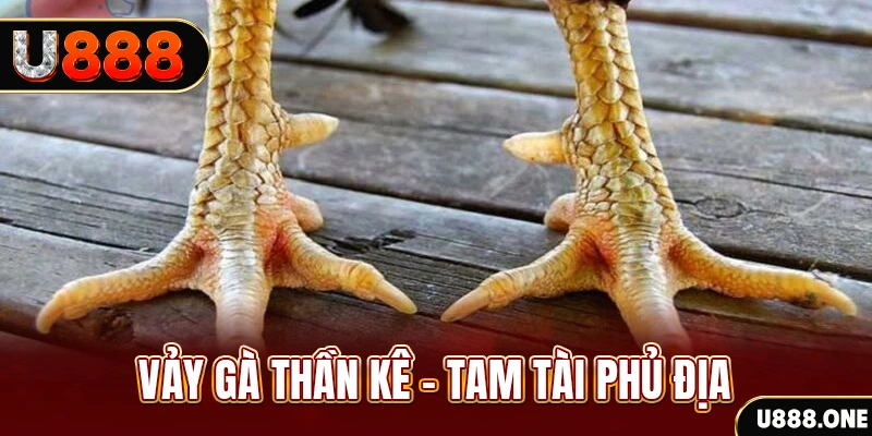 bet789 xổ số 30 ngày
