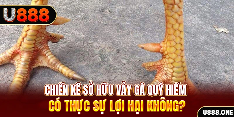 bet789 game cá cược máy bay