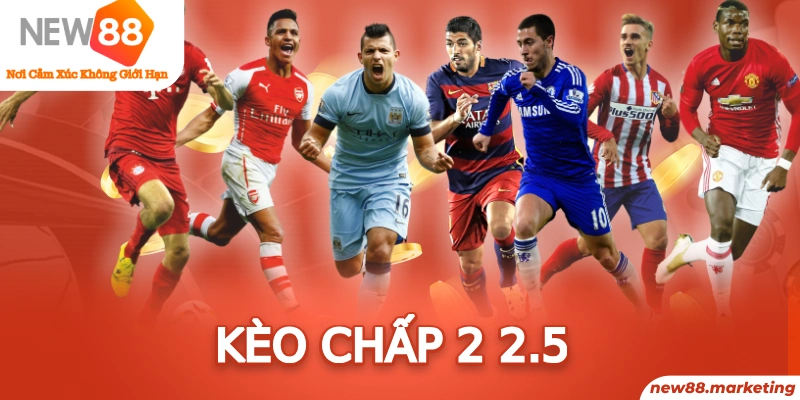 bet789 trực tiếp đá gà thomo