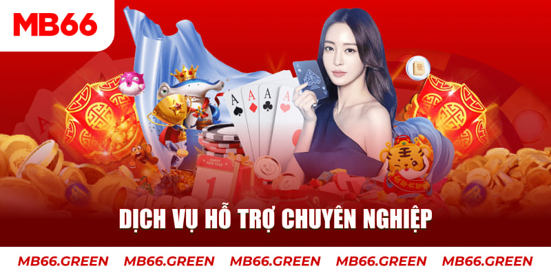 bet789 gà chọi cậu thanh