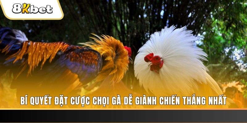 bet789 may club nổ hũ