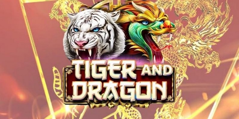 bet789 cá cược tiếng anh là gì
