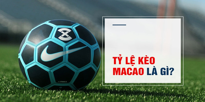 bet789 Trăm Knorr