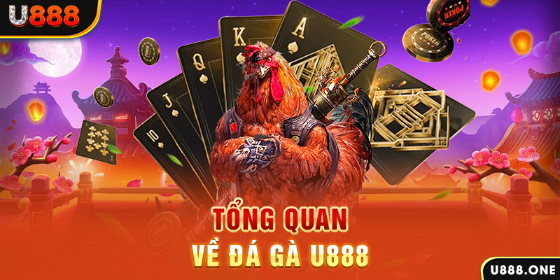 bet789 what is casino bonus wagering